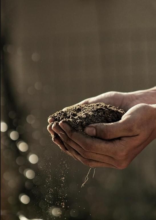 FairDealWorldShop Organic Vermicompost 400gm