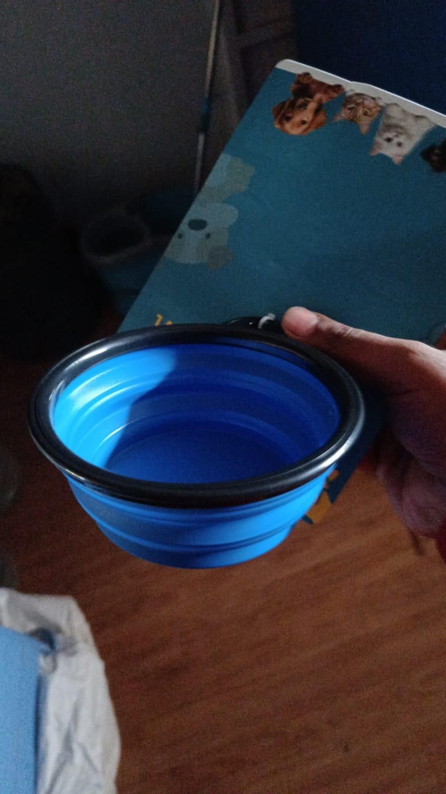 Foldable Silicone Pet Feeding Bowl for Travel
