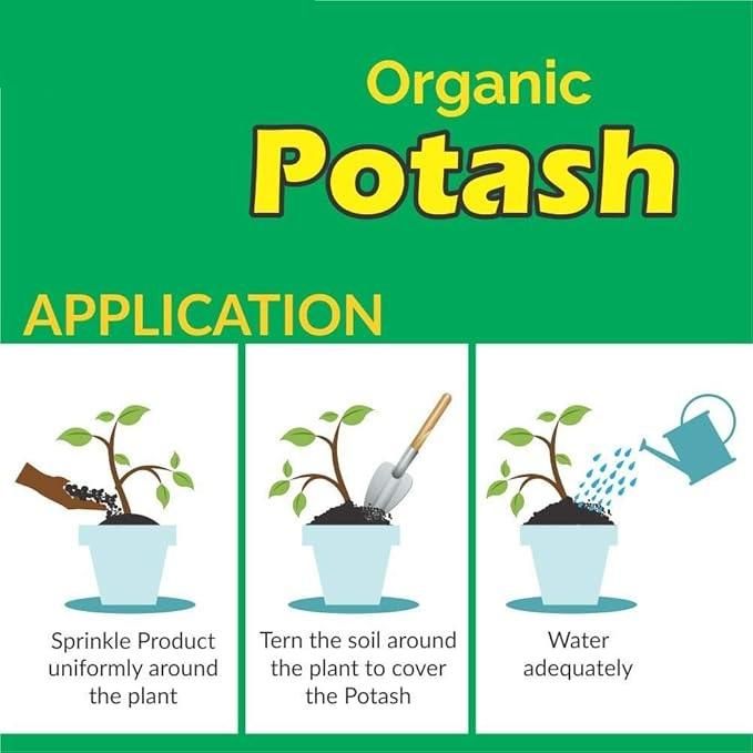 Organic Potash Fertilizer 350g for Healthy Plants