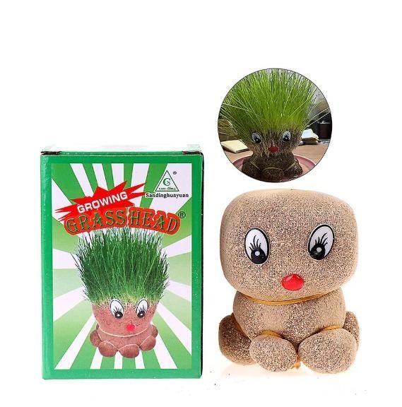 Octopus Grass Doll Plant in Grow Bag Pots