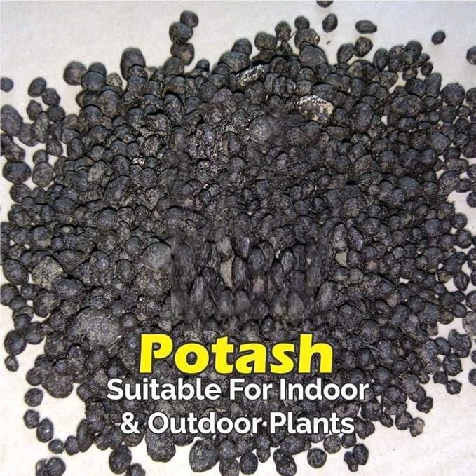 Organic Potash Fertilizer 350g for Healthy Plants