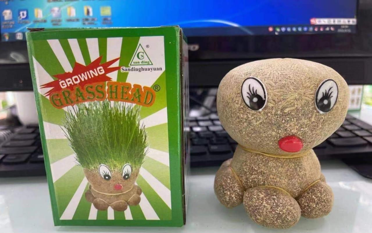 Octopus Grass Doll Plant in Grow Bag Pots