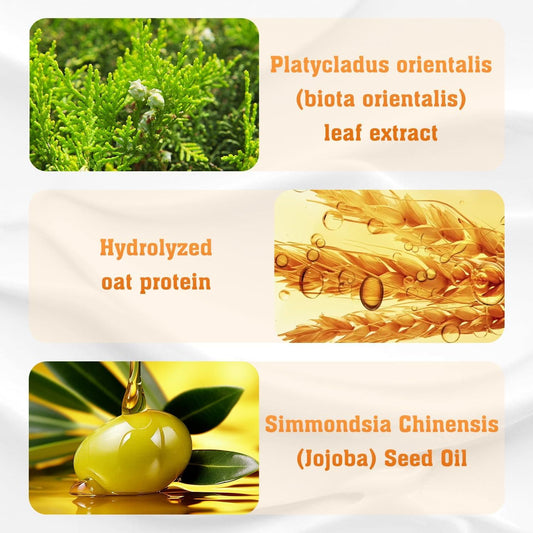 Anti-Hair Loss Treatment Shampoo - 100ml