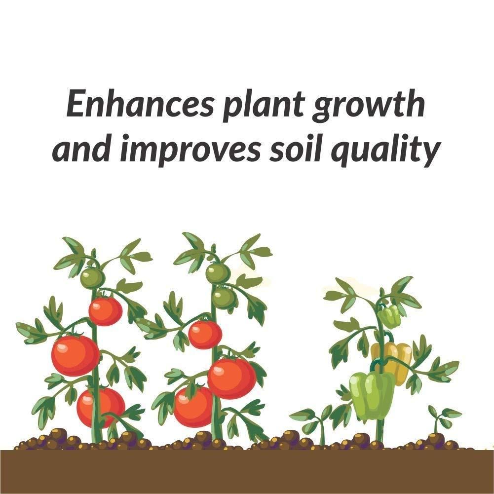 Organic Potash Fertilizer 350g for Healthy Plants