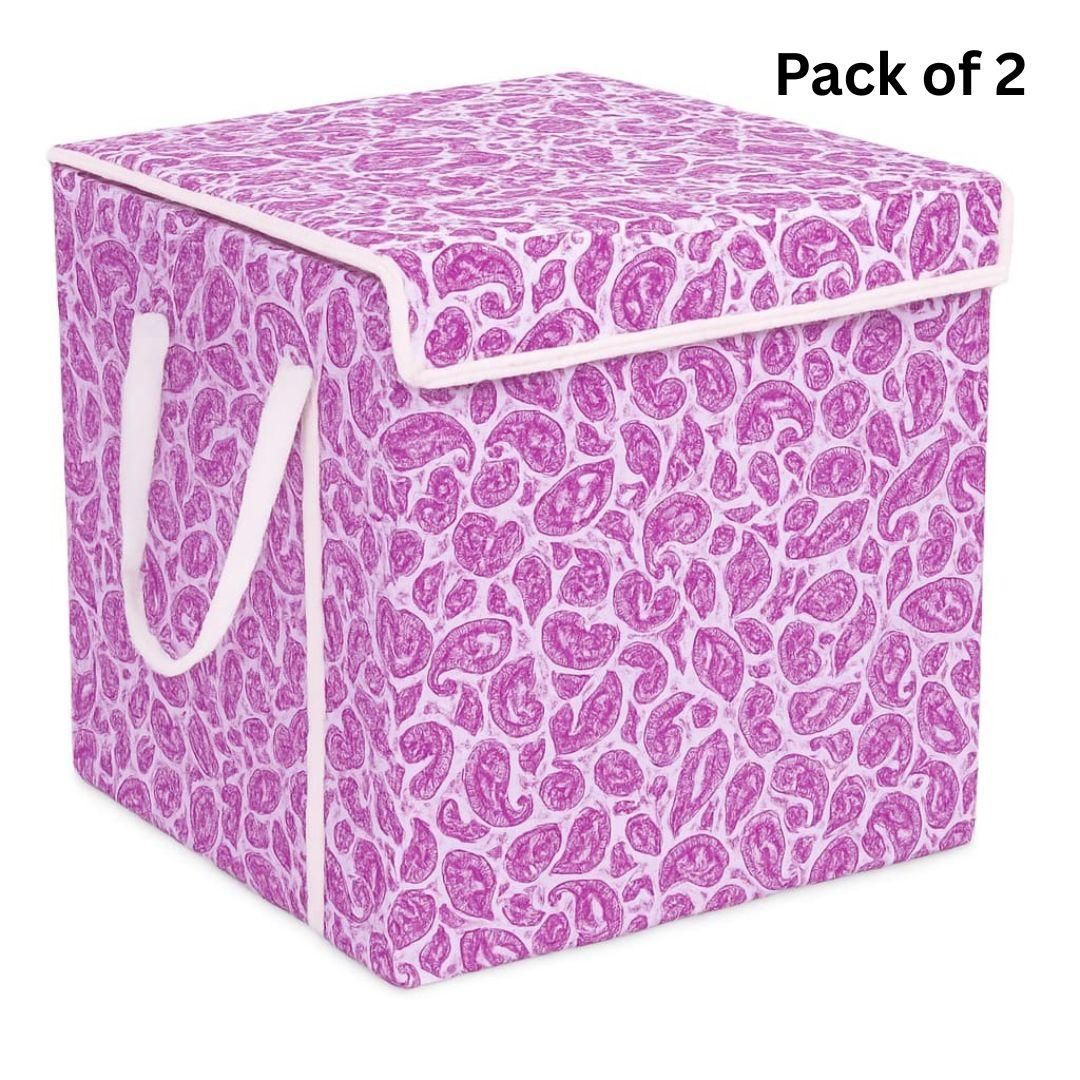 FairDealWorldShop Foldable Laundry Basket/Storage Box (Pack of 2)