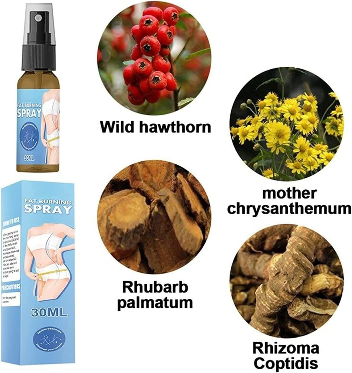 Fat Burner Slimming Spray 30ml – Pack of 1