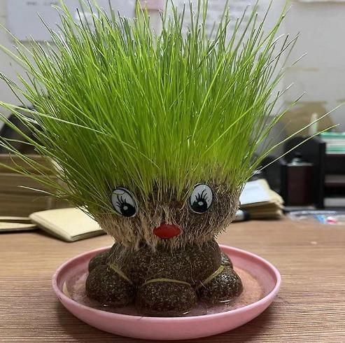 FairDealWorldShop Octopus Grass Doll Grow Bag Pots