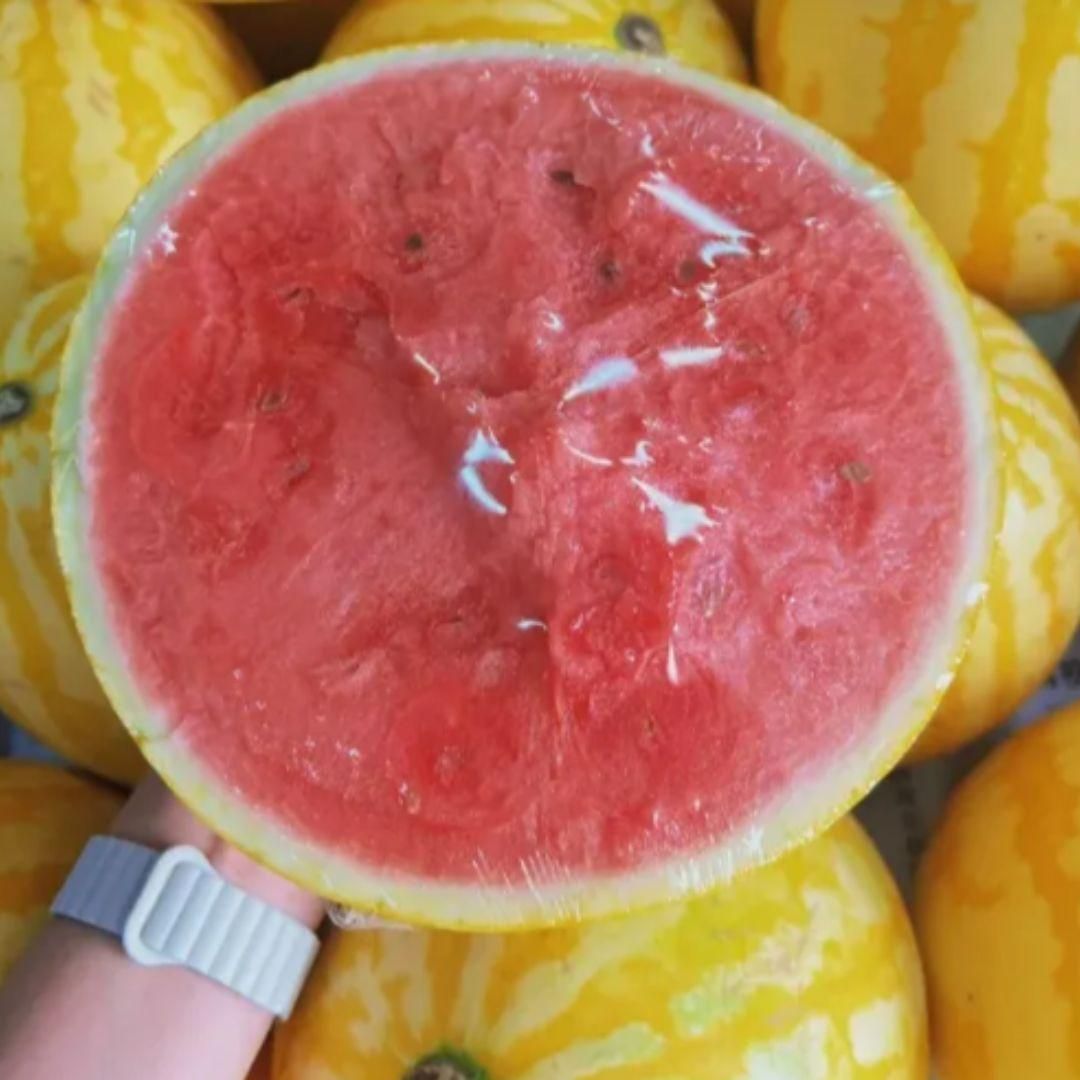 FairDealWorldShop Golden Red Watermelon Seeds