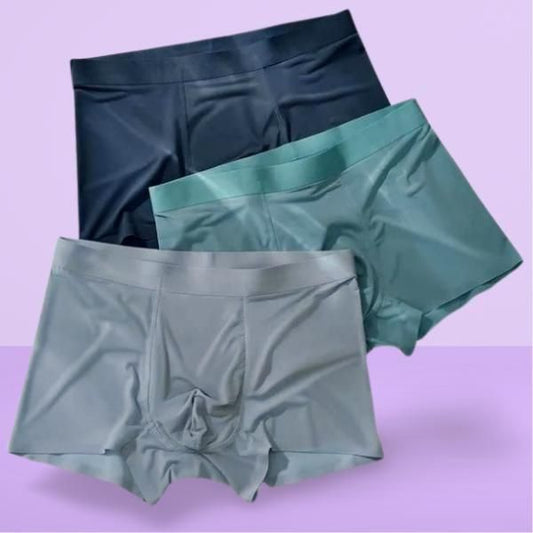 FairDealWorldShop Men's Ice Silk Briefs Boxers (Pack of 3)