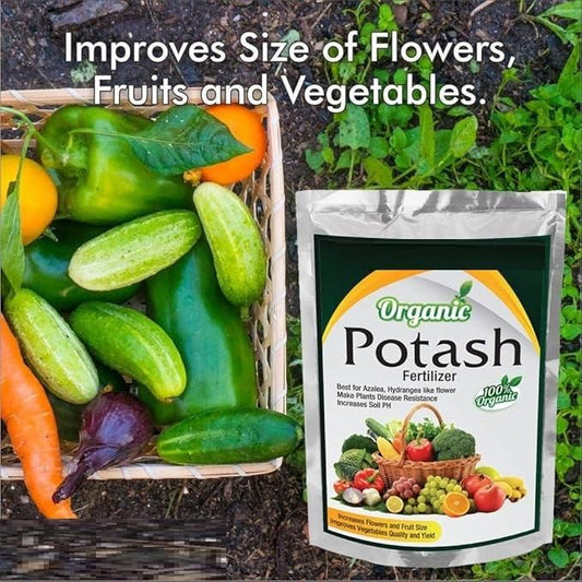 FairDealWorldShop Organic Potash Fertilizer 350gm