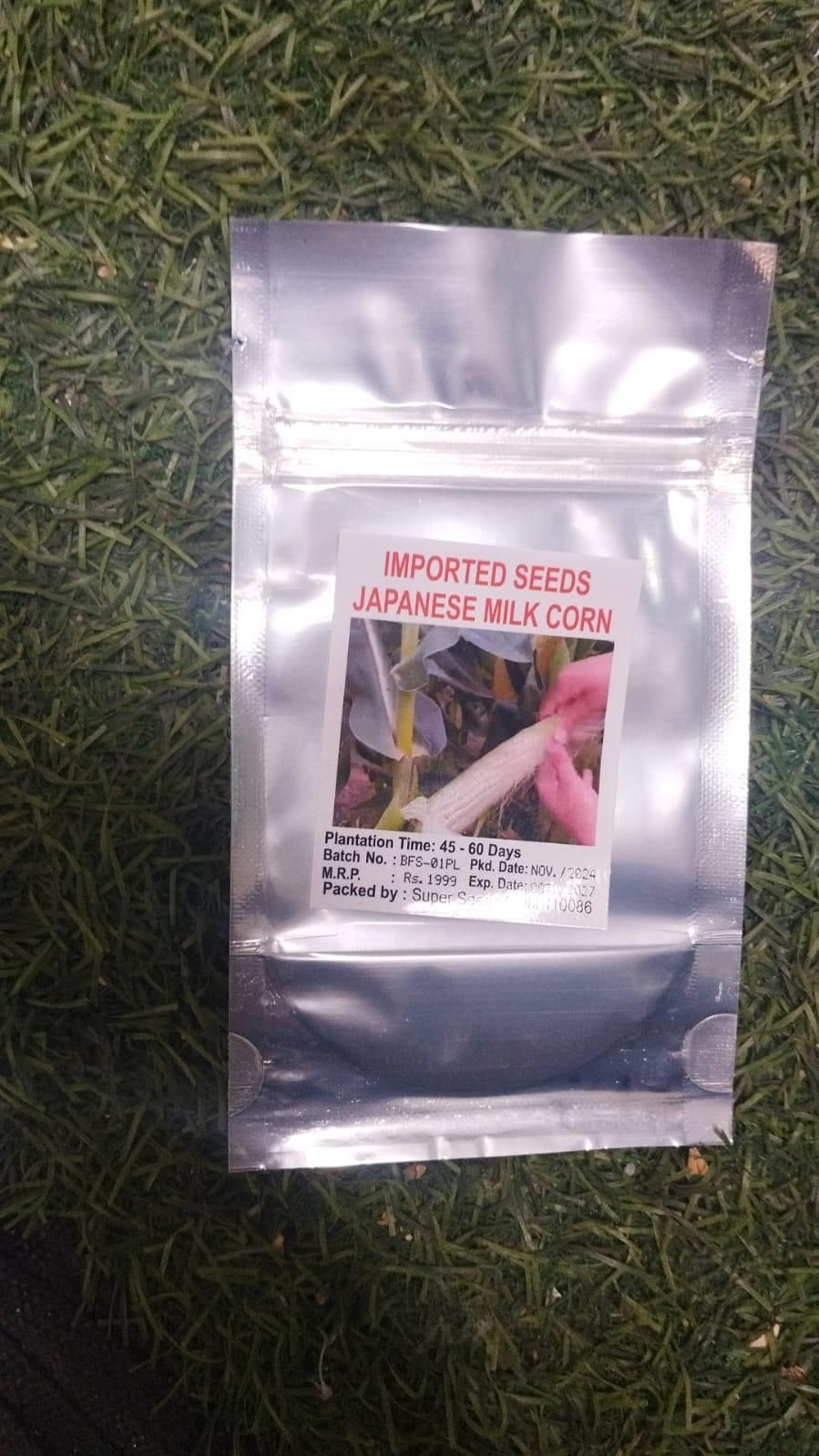 Japanese Sweet Milk Corn