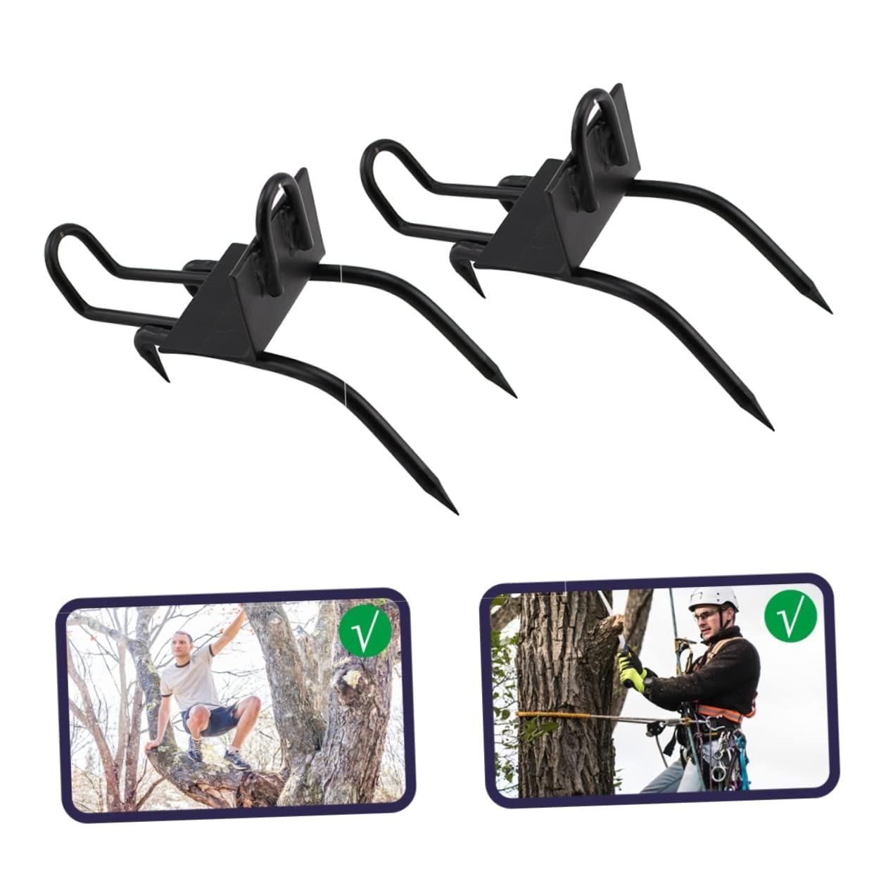 Tree Climbing Safety Gear